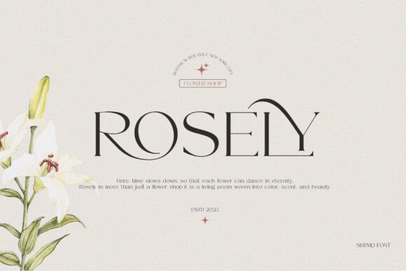 Sermo Font - Image 3