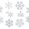 Set of Beautiful Snowflakes