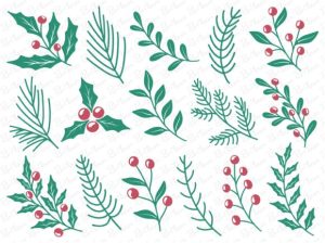 Set of Christmas Holly Leaf Illustration