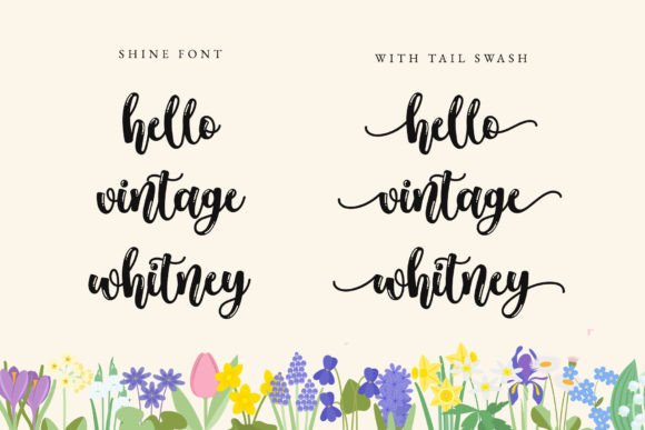 Shine Font - Image 2