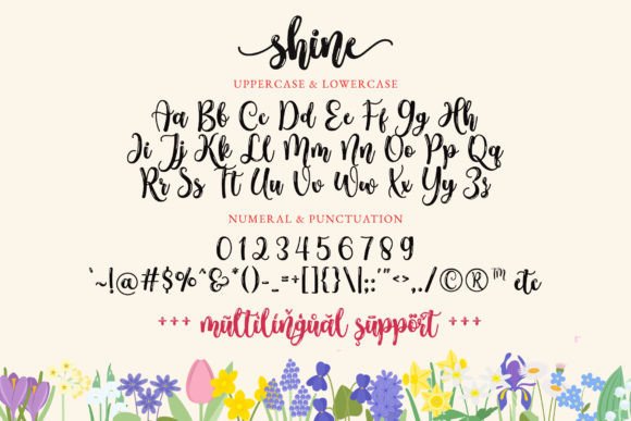 Shine Font - Image 9