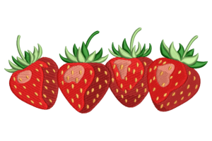 Strawberry Fruit