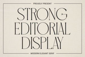 Strong Editorial Display Font