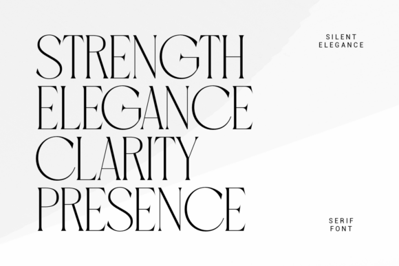 Strong Editorial Display Font - Image 3