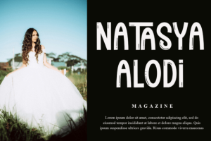 Alternative view of Stylish Vintage Font