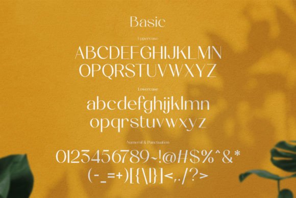 The Munday Font - Image 5