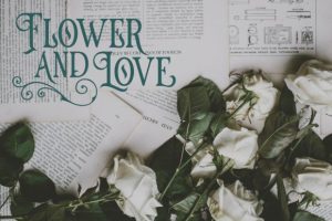 Alternative view of Timelapse Font