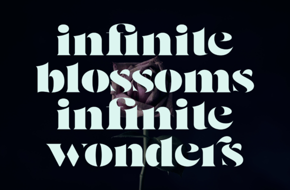 Vegan Font - Image 7