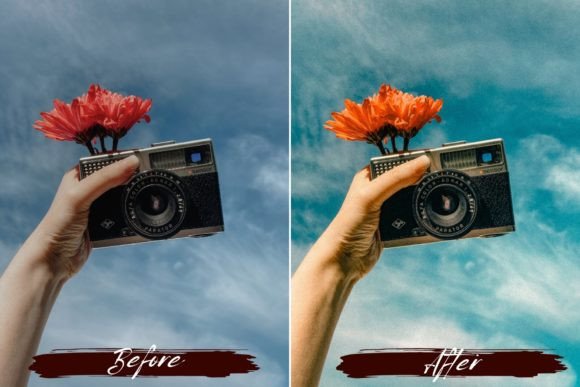Vintage Film Lightroom Presets - Image 7