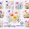 Wall Art Set Watercolor Wildflowers PNG