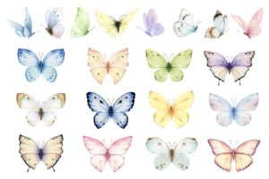 Alternative view of Watercolor Butterfly Flowers Clipart PNG