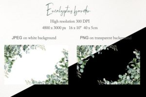 Alternative view of Watercolor Eucalyptus Border Clipart PNG