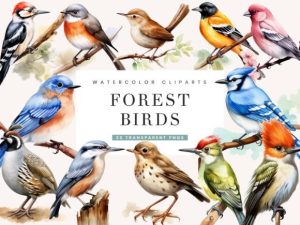 Watercolor Forest Birds Clipart Bundle