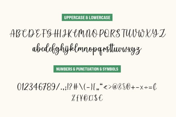 Welcome Holiday Duo Font - Image 8