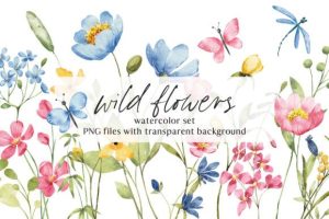 Wild Flowers, Watercolor Clipart, PNGю