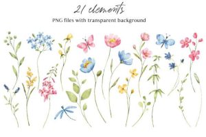 Alternative view of Wild Flowers, Watercolor Clipart, PNGю