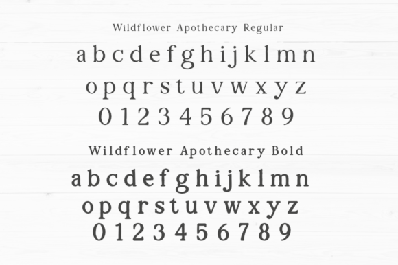 Wildflower Apothecary Font - Image 6