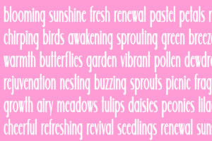 Alternative view of Wildflower Font