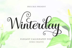 Winterday Font