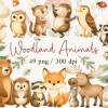 Woodland Animals Clipart, Baby Nursery,