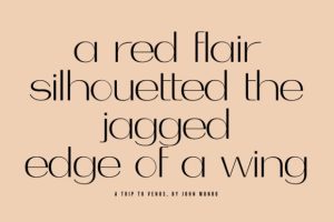 Alternative view of Bodhi Font