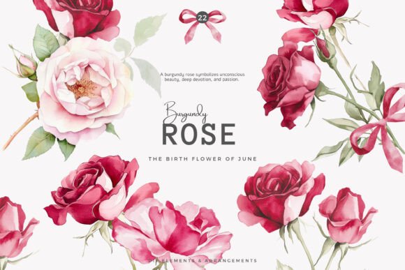 Burgundy Rose Birth Flower Set - Image 3