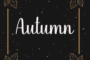 Alternative view of Disney Font