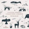 Hand Drawn Celestial Animals Collection
