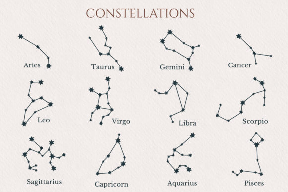 Hand Drawn Celestial Animals Collection - Image 6