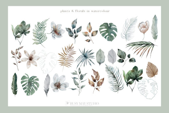 Modern Tropical Huge Collection - Image 3