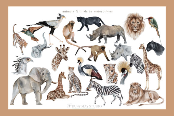 Modern Tropical Huge Collection - Image 5