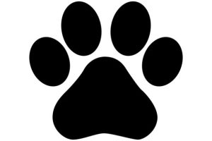 Dog Paw Print Silhouette