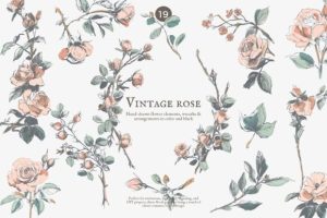 Vintage Rose Floral Clipart Set