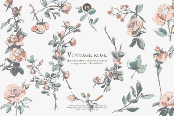 Vintage Rose Floral Clipart Set