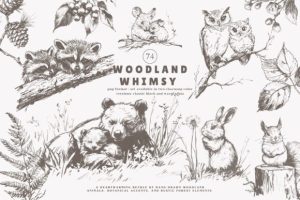 Woodland Clipart Forest Animals Huge Set