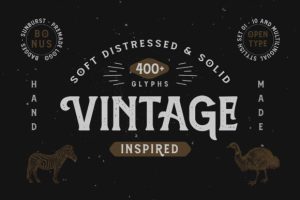 Alternative view of Amnestia Font