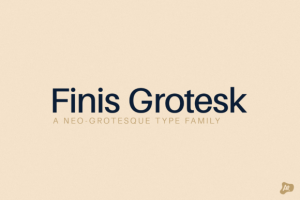 Finis Grotesk Font