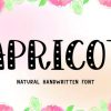 Apricot Font