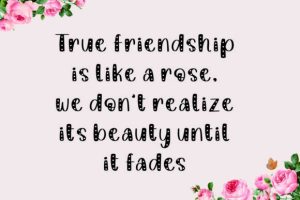 Alternative view of Apricot Font