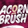 Acorn Brush Font