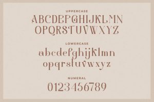 Alternative view of Aesthetic Font