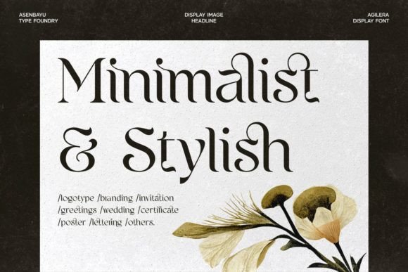 Agilera Font - Image 2