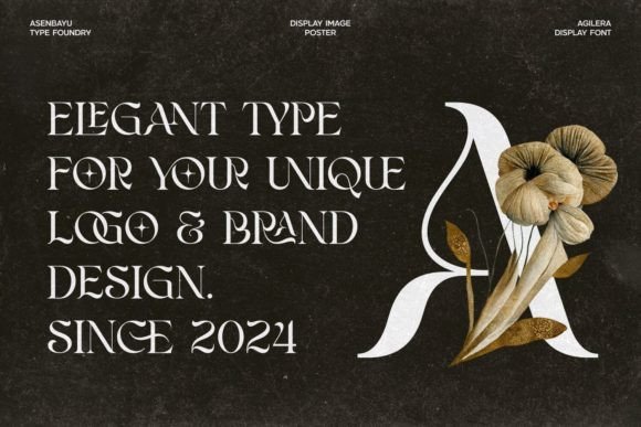 Agilera Font - Image 3