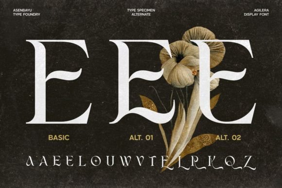 Agilera Font - Image 9