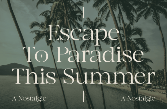 Agista Display Font - Image 3