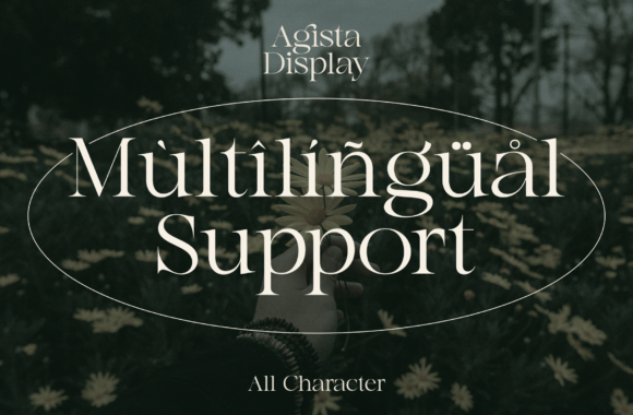 Agista Display Font - Image 5