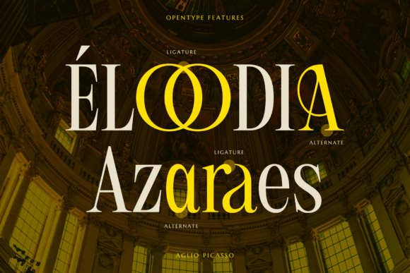 Aglio Picasso Font - Image 9