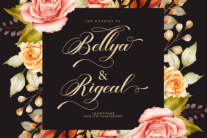 Alternative view of Aleycha Font