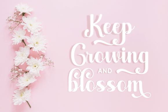 Alicia Charlotte Font - Image 2