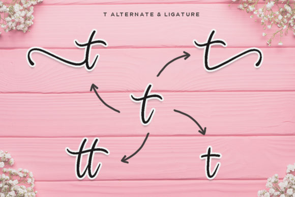 Amelia Sophia Font - Image 5